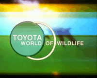 World of Wildlife Logo