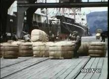 Birch Street Wharf
