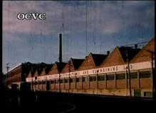 Wool Mill